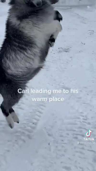 Carl and his warm place