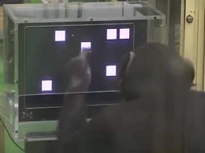Live footages of me choosing how many GME I&rsquo;ll buy today