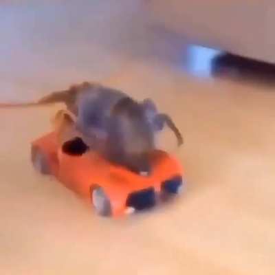 yes