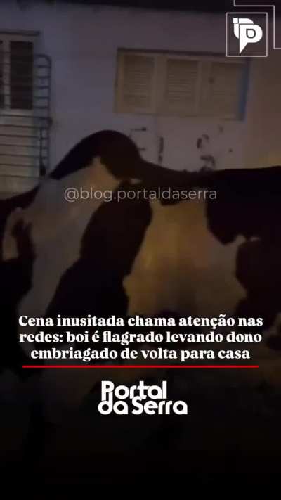 Bom dia povo!