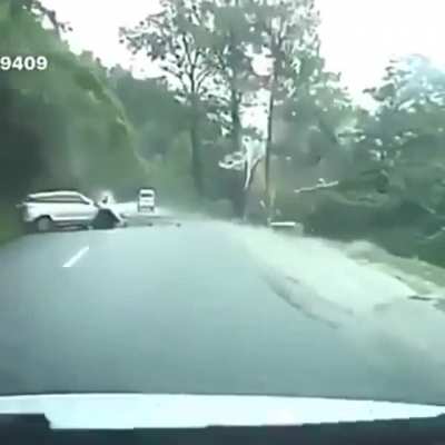 Nature doesn't care where we build our roads