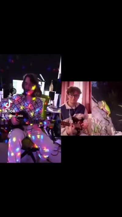 Frog song :) (credits: @mimo_mio on tiktok)