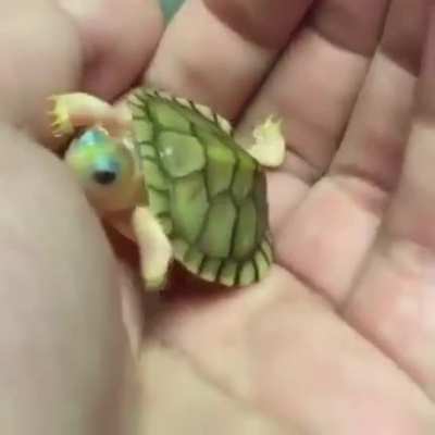 So tiny