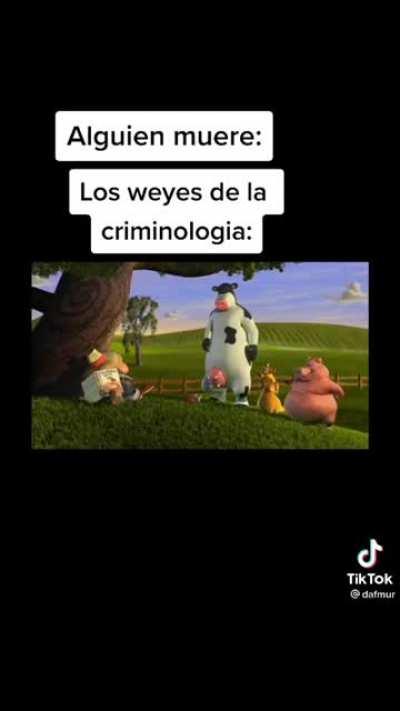 TIPICO ._.