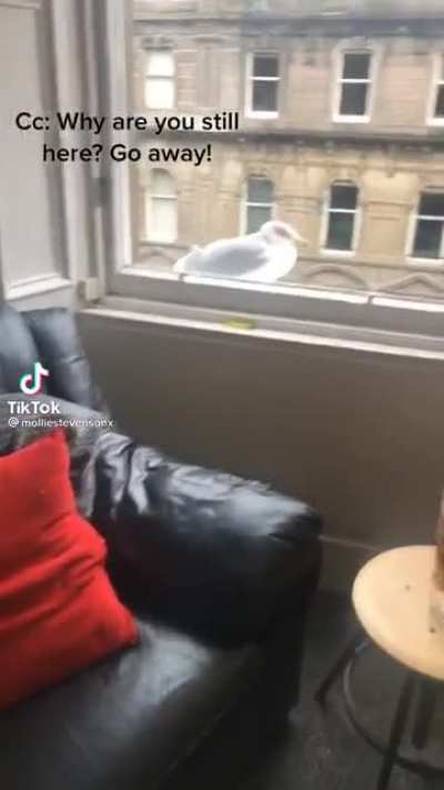 Aaaaaaaaah