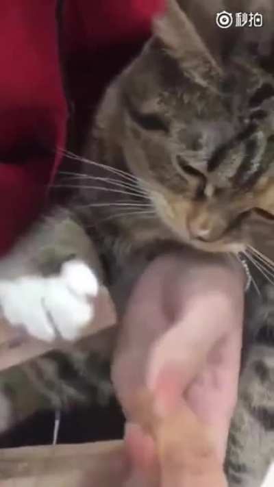Nail Technician