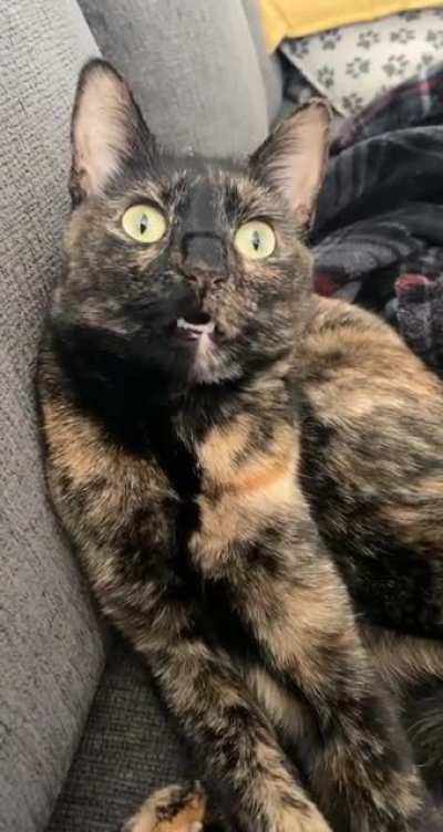 She&rsquo;s seen some shit