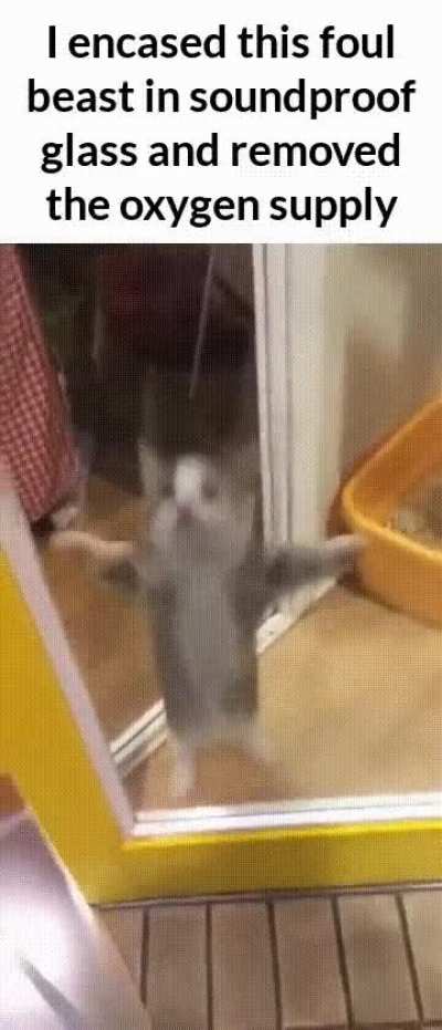 No one will hear him