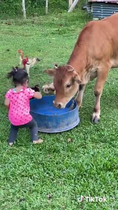 Your food, it is OUR food now