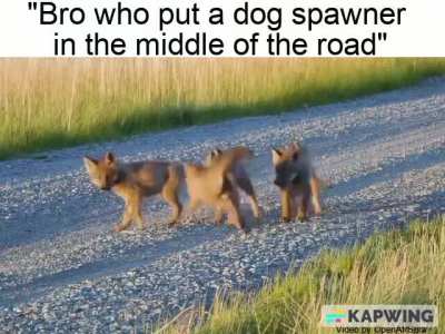 No way they added mob spawner irl