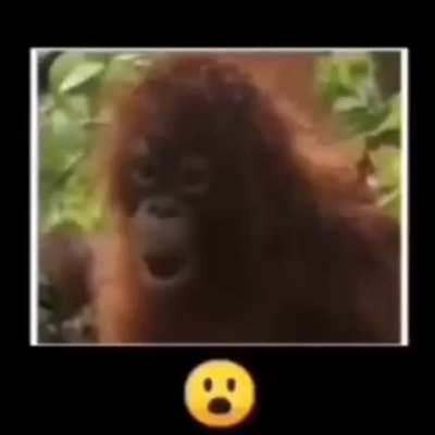 😮