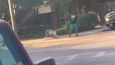 Sucker Punch City