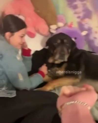Сюрприз
