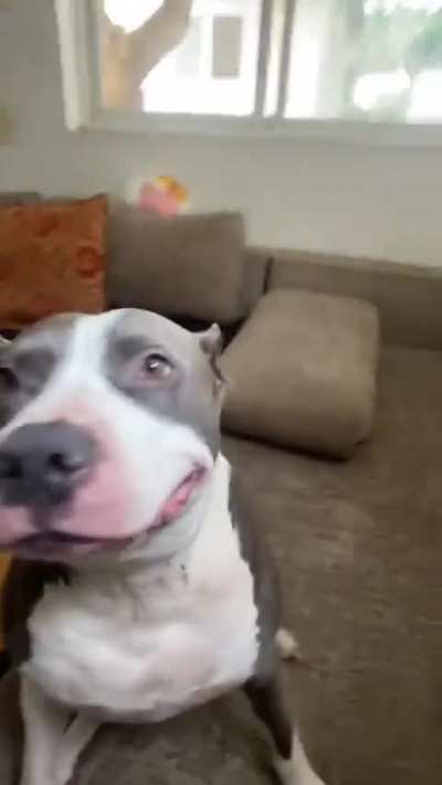 "😛"