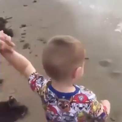 Bubba&rsquo;s First Beach Trip