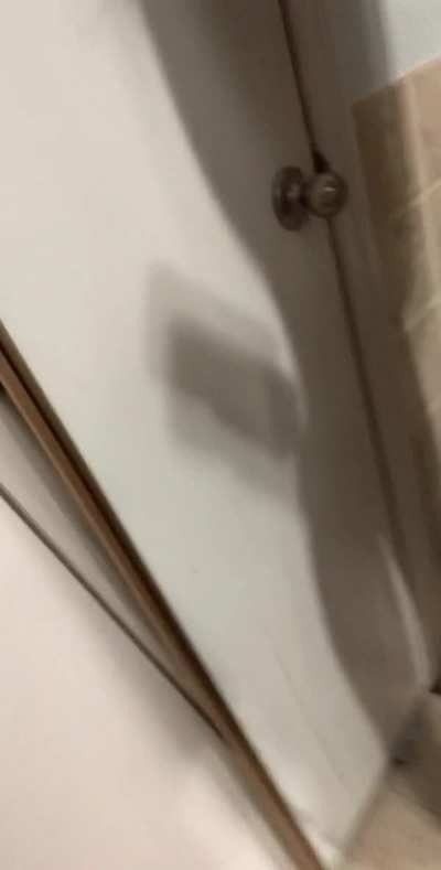 I hope you enjoy my tiny body