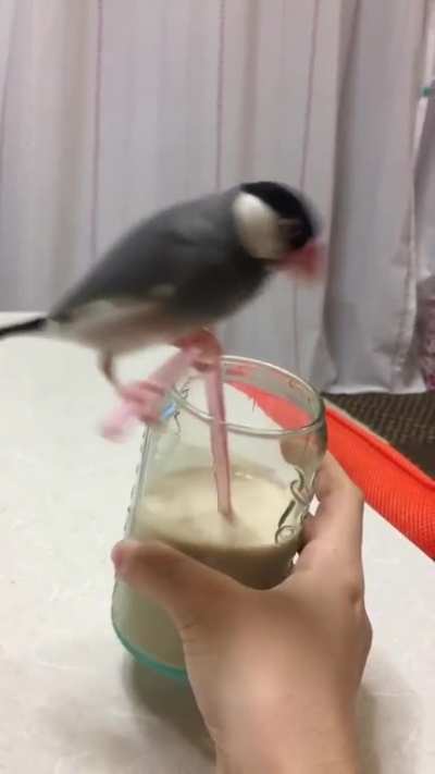 "Your drink is my playground now"