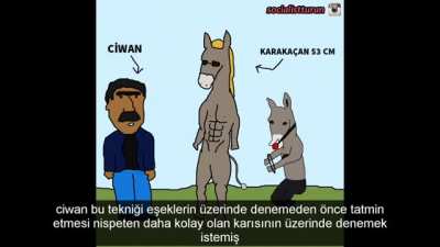 karaka&ccedil;an 53 cm