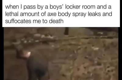 Moldy suffocation 