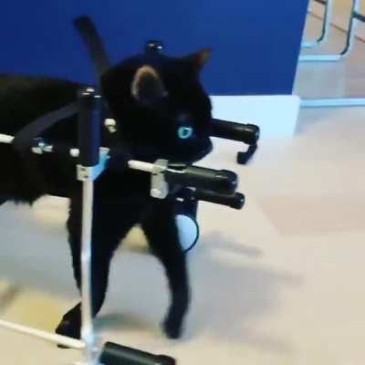 Watch out world, I&rsquo;m on the move!