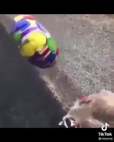 Когда смерть не помеха для веселья