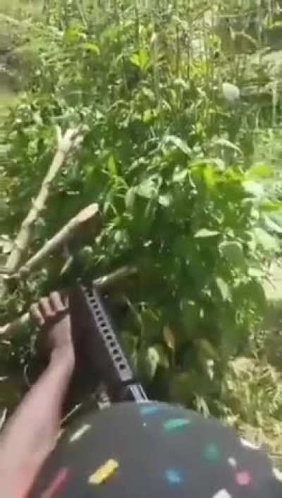 Indonesia soldiers caught in ambush by Papua rebels