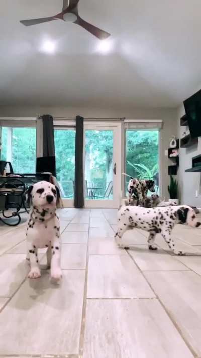 These cuties