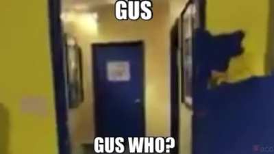 GUS Who ?