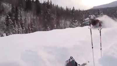 Moose are fast, even in deep snow..