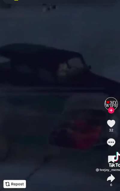 Harry? 😂