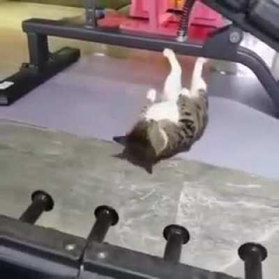 What&rsquo;s your excuse?