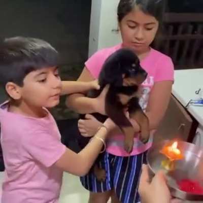 An Indian Family Welcomes A Puppy As Part Of Their Family