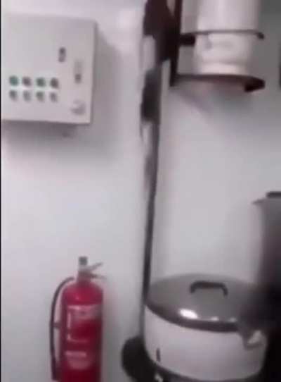 Cursed_Ratitou