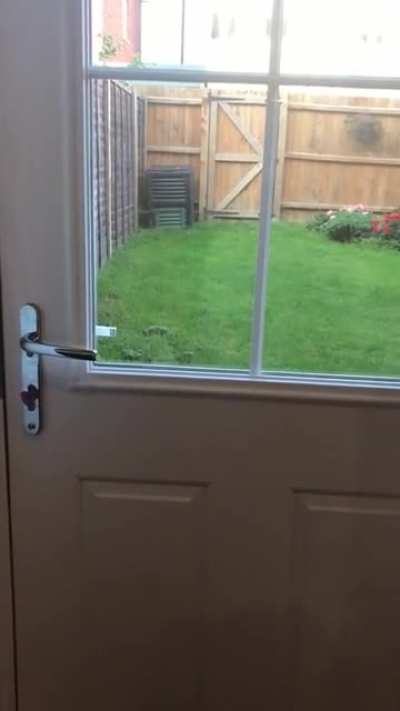 Stalking the target