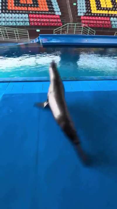 Exercising-Wunky
