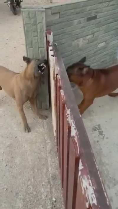 Fence Friction