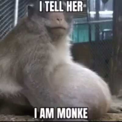 Monke