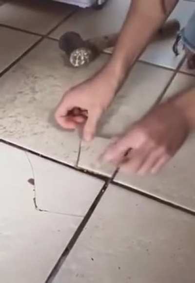 5 minutes crafts be like: