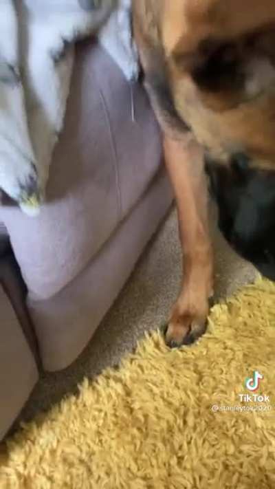 He&rsquo;s just a little bit special&hellip;