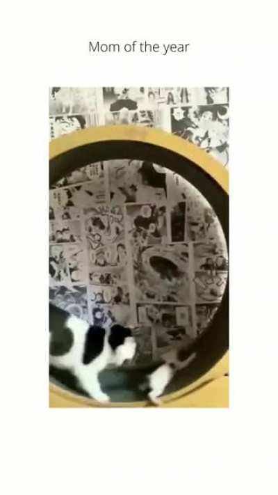 "HELP ME MOTHER"