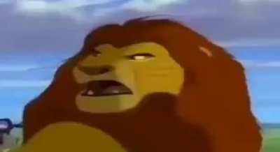 bolsonaro.mp4