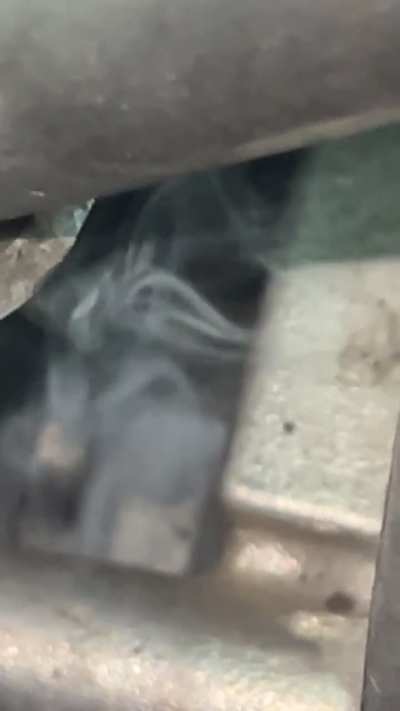 Smoke leak tested my car