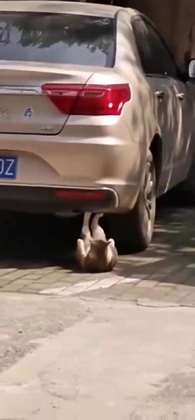 А не поздновато к лету готовится?