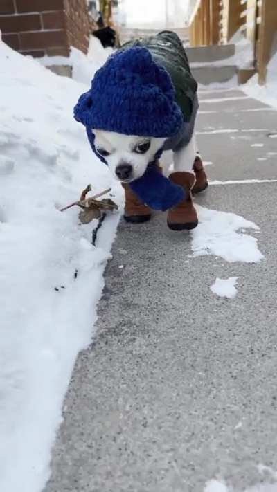 They just aren&rsquo;t built for winter