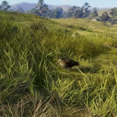 Scotland Hunting Reserve | Release Trailer | Out now!