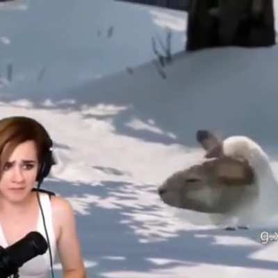 Gibby.mp4
