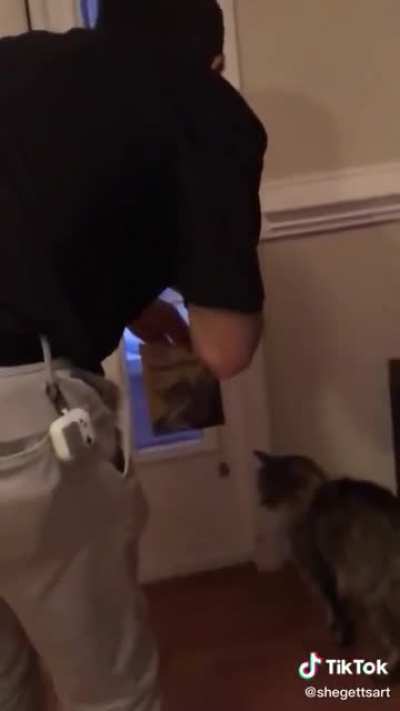 Meowmix
