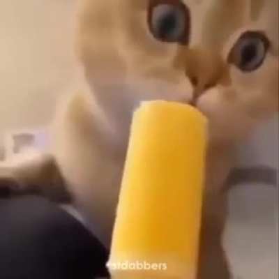 the