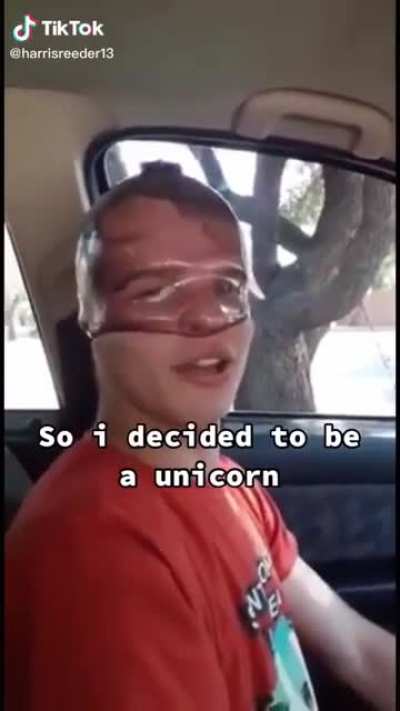 Quiero ser unicornio