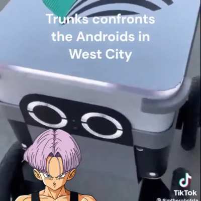 Trunks in irl